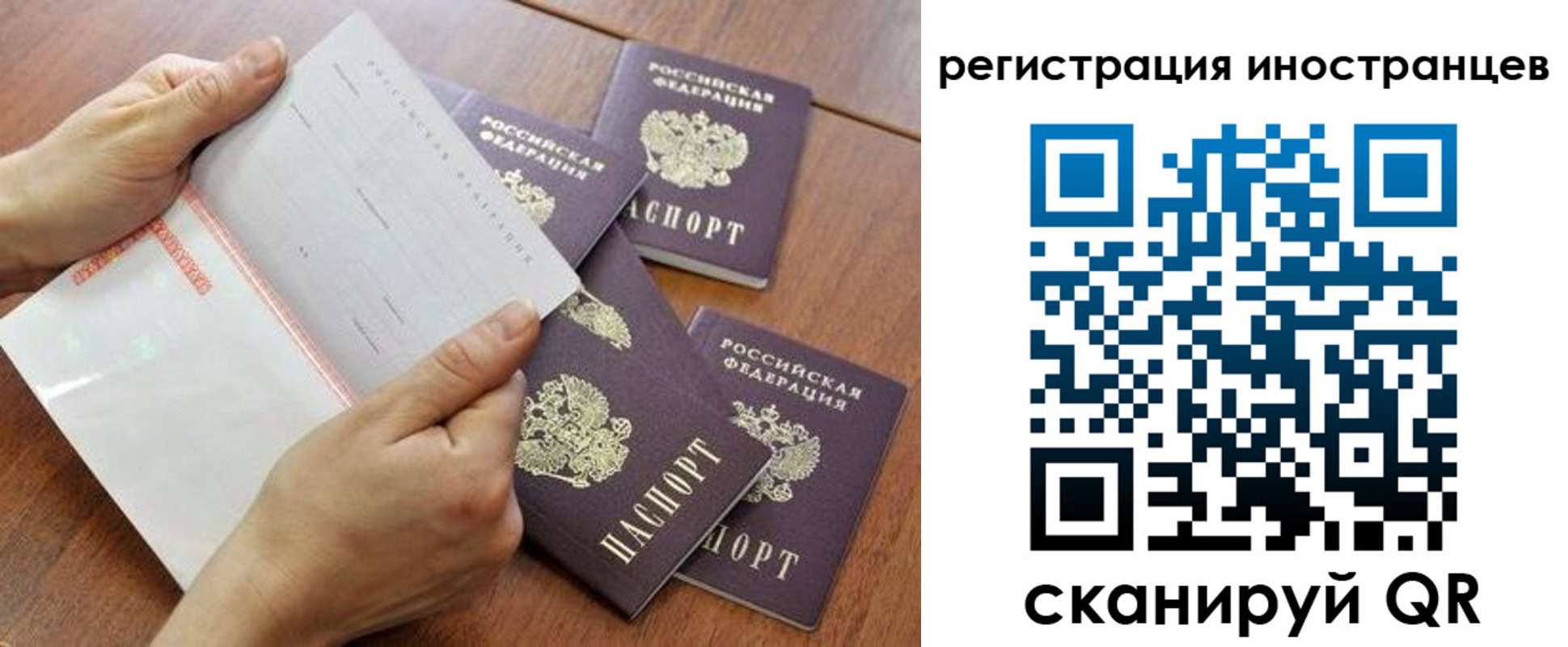 прописка поиск в Калининградской области